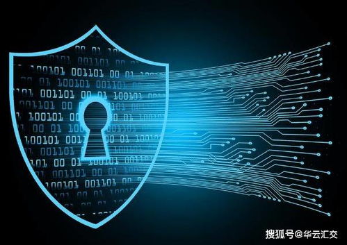 探秘區(qū)塊鏈加密技術(shù) 如何在應(yīng)用開發(fā)中構(gòu)筑用戶隱私與安全的堅固防線