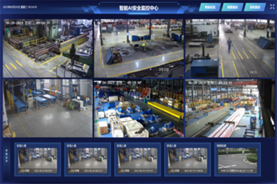 特色黨建品牌展播 | 人工智能黨支部 數(shù)智引領 共創(chuàng)未來 安全系統(tǒng)監(jiān)控服務