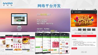 瓊海市互聯(lián)網(wǎng)協(xié)會(huì)會(huì)員風(fēng)采 海南新視野企業(yè)營銷策劃服務(wù)有限公司——深耕本土，智創(chuàng)未來